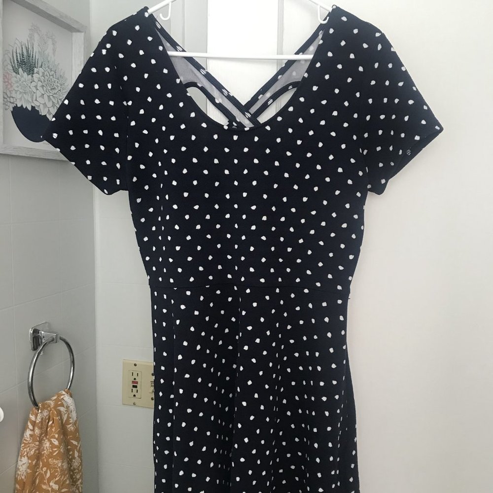 Charming Charlie Skater Dress